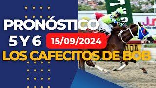 DOMINGO 15/09- PRONÓSTICOS 5 y 6 #LARINCONADA