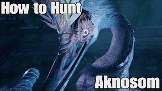 How to Hunt | Aknosom