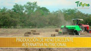 Produccion de Heno Excelente Alternativa Nutricional - TvAgro por Juan Gonzalo Angel Restrepo