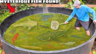 I Found Mysterious Fish LIVING in ABANDONED POND!