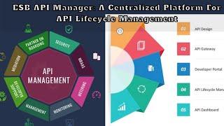 ESB API Manager  A Centralized Platform for API Lifecycle Management