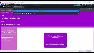 POC | XSS | HTML Injection | Open Redirect through XSS & HTML |