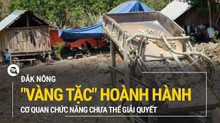 Đắk Nông: "Vàng tặc" hoành hành trong khu vực có sự quản lý nhưng các cơ quan chưa thể giải quyết