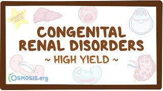 Congenital renal disorders: Pathology review