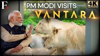 India's PM Modi Visits 'Vantara' Wildlife Rescue Centre in Gujarat | Anant Ambani | 4K | N18L