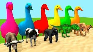 3d animals cartoon / 3 d animal / animals cartoon / #RK388