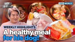 [Weekly Highlights] Jinsung's petcipe for his dog [Animals Are Incredible] | KBS WORLD TV 250305