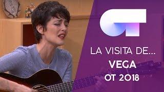 VISITA de VEGA | OT 2018