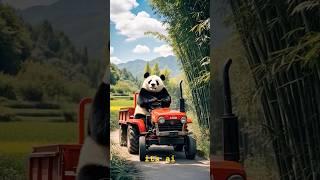 Hardworking panda finding food | #panda #ai #youtubeshorts