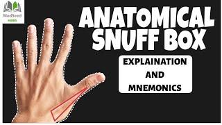 Anatomical Snuff box- Anatomy explained!