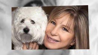 BARBRA STREISAND "SMILE"