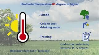 Heat Stress Prevention | Safety, Hazards, Training, Oregon OSHA