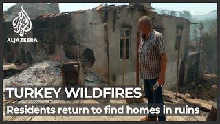 Turkey wildfires: Despair and questions as forests burn