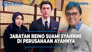 JABATAN REINO BARACK SUAMI SYAHRINI DI PERUSAHAAN SANG AYAH | @TRIBUNLAMPUNGNEWSVIDEO