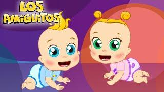 Tu Primer Gateo (NUEVO) cancion infantil | Los Amiguitos Canciones Infantiles