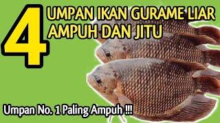 UMPAN IKAN GURAME LIAR