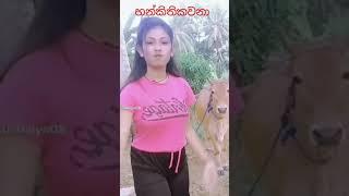 නන්ගියාගෙ ලස්සන dance  එක / short