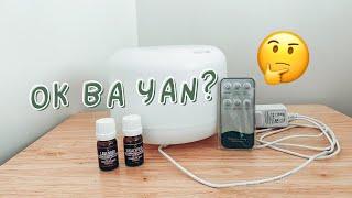 Review: Lazada Diffuser and Shopee Essential Oils (Affordable!)