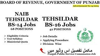 Tehsildar & Naib Tehsildar Jobs 2024 | PPSC Jobs 2024 | Board Of Revenue Jobs 2024 |