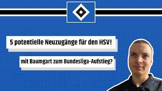 HAMBURGER SV: 5 TRANSFERS für den BUNDESLIGA-AUFSTIEG!