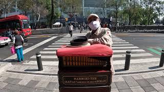 Organillero (Organ Grinder) in Mexico - Pedro Infante - Cien Años 