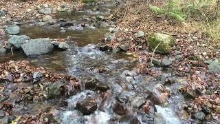  Babbling brook sound for sleep, relaxation, yoga and meditation (10 hours)