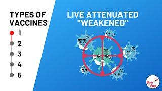 Types of Vaccines | 1: Live Attenuated "Weakened"