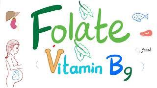 Vitamin B9 (Folate)  - Folic - Structure, Function, Folate Deficiency Anemia Diagnosis & Treatment