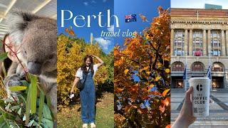 PERTH TRAVEL VLOG   7 days in Perth Australia, things to do, popular attractions ️