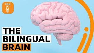 Why being bilingual is good for your brain | BBC Ideas