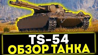  TS-54 - ОБЗОР ТАНКА ИЗ КОРОБОК 2024! МИР ТАНКОВ