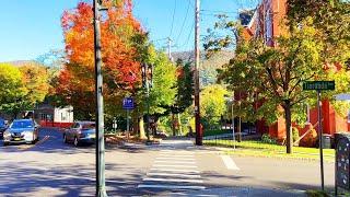 Walking Beacon, NY : Main Street in October 2022