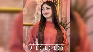 Annika Simon - A Le Ley Ley (Tiktok Remix)