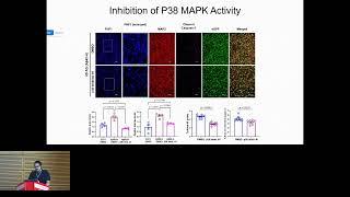 iQPA: A functional phenotyping platform that... - Pourya Naderi Yeganeh - TransMed - ISMB/ECCB 2023