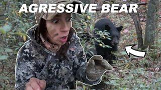 BEAR RAN RIGHT AT ME * Bow Hunting Pennsylvania *