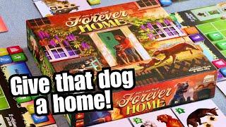 Overview of the board game - Forever Home!