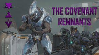 The Covenant Remnants