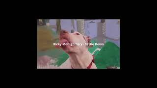 Ricky Montgomery Music Compilation #shorts