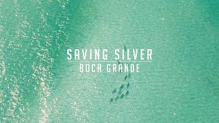 Saving Silver: Boca Grande
