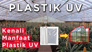 Manfaat & Keunggulan Plastik UV