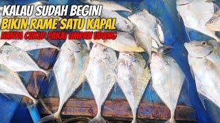 Kalau Musim Ikan Rambe Babon || Gak Nunggu Waktu Lama Langsung Panen