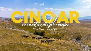 Cincar: U carstvu divljih konja - Bosna i Hercegovina - Hiking Tours | Go Bosnia & Herzegovina [4K]