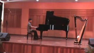 Fur Elise - L.V. Beethoven Piano by Matthew Sebastian