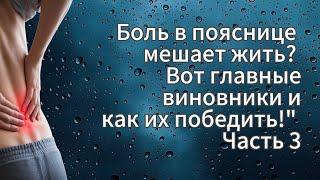 Боль в пояснице мешает жить? Вот главные виновники и как их победить!" Часть 3