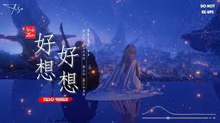 Vicky Zhao - Haoxiang Haoxiang - TuSo Remix (赵薇 - 好想好想)