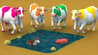 Color Cows’ Desert Adventure: An Epic Journey to Find Water | Animal Quest!