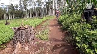 TREK SELING BIKE PARK