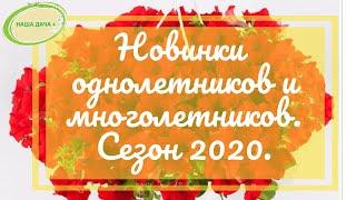 Новинки однолетников и многолетников. Сезон 2020. Говорухина Юлия.