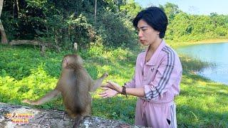 How happy was Monkey Kaka when dad brought Diem and Quynh to visit?