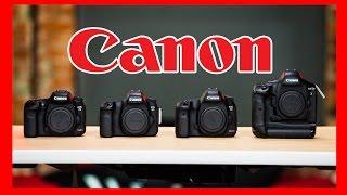 Which Canon DSLR Should You Buy: 1D X, 5D Mark III, 6D, 7D Mark II